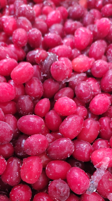 زغال اخته منجمد